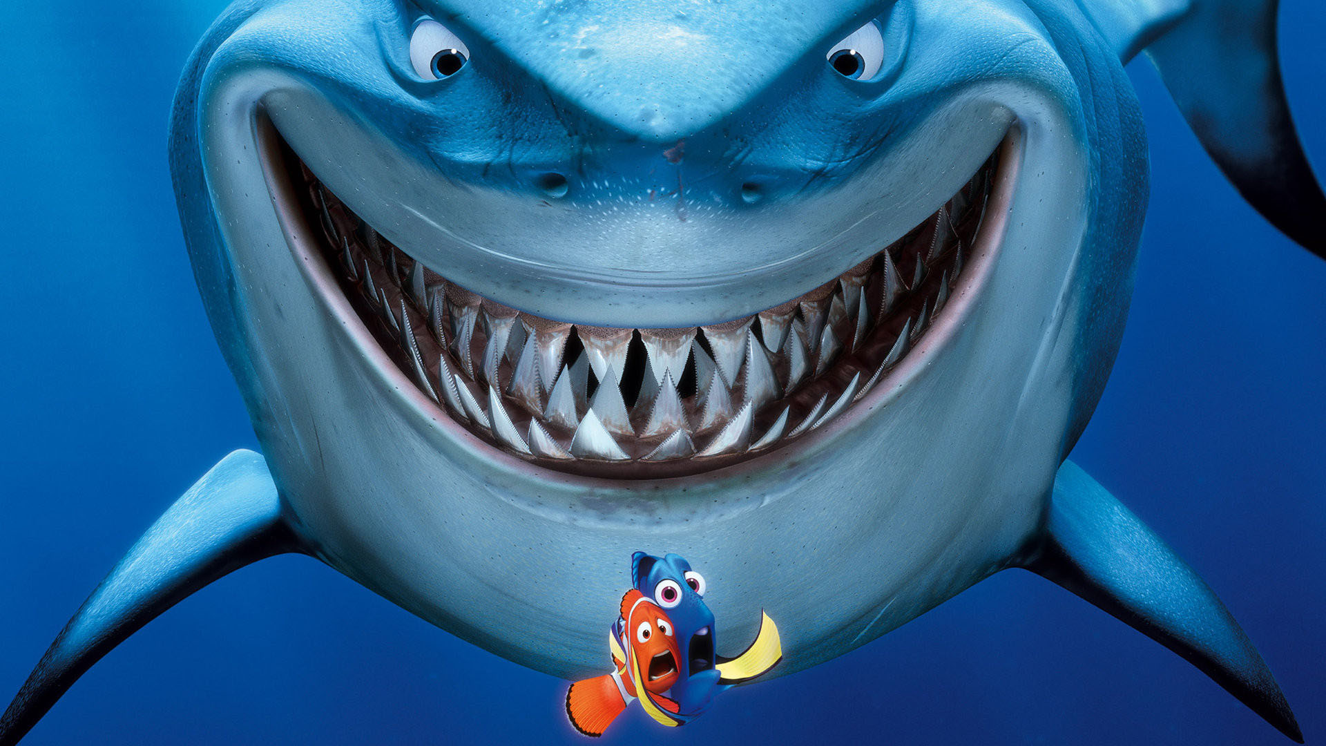 Internet Loves Smiling Shark, Reminiscent of Famous Movie Character